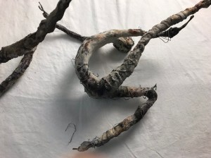 Molly williams figurative sculpture